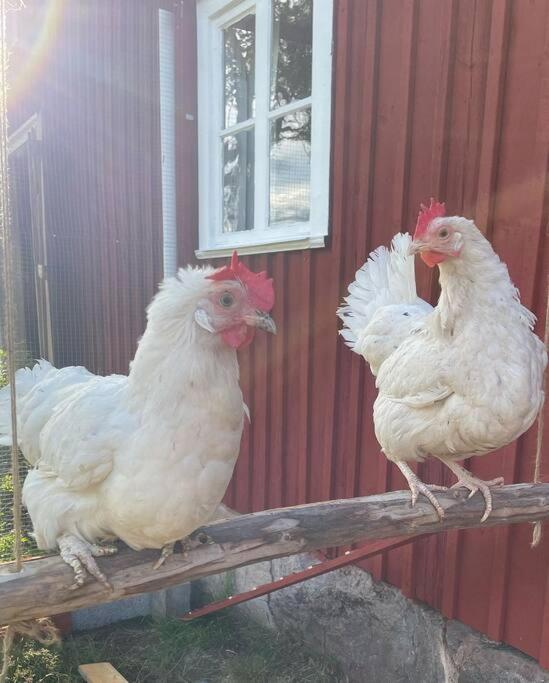 Gamla Ersgarden I Ersmark Umea Ngoại thất bức ảnh